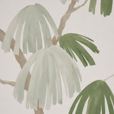 weeping-pine-5008332-2