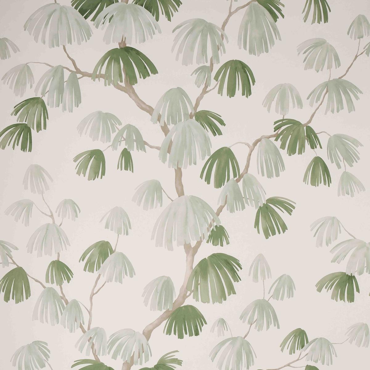 weeping-pine-5008332