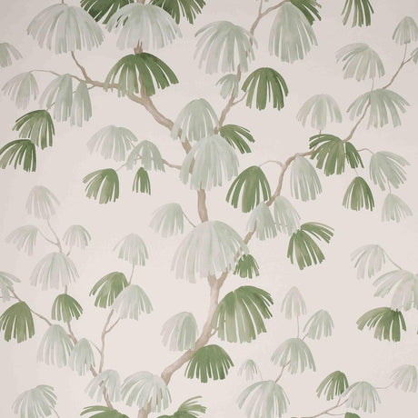 weeping-pine-5008332