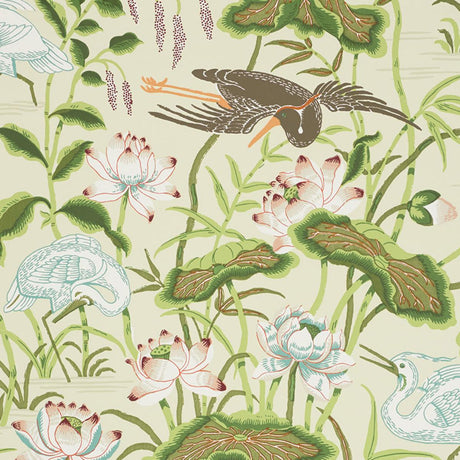 lotus-garden-5008431