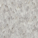 feathers-5008610