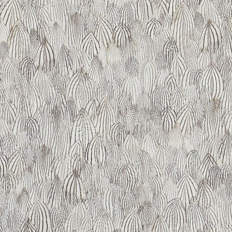 feathers-5008610