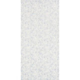 feathers-5008611-1