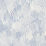 feathers-5008611-2
