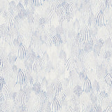 feathers-5008611