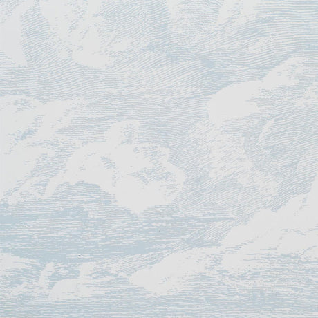 cloud-toile-5009132-1