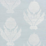 agra-sisal-5009280