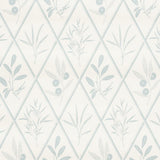 endimione-5009370