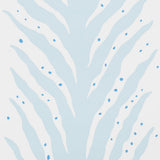 creeping-fern-5009451-1