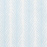 creeping-fern-5009451