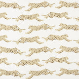 leaping-leopards-5009591