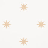 stargaze-5009600-1