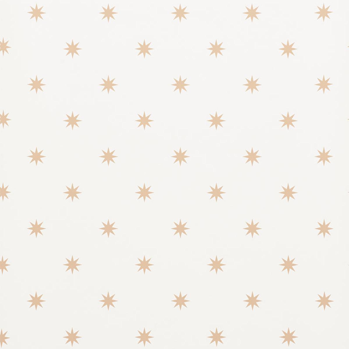 stargaze-5009600
