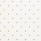 stargaze-5009600