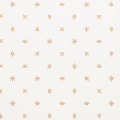 stargaze-5009600