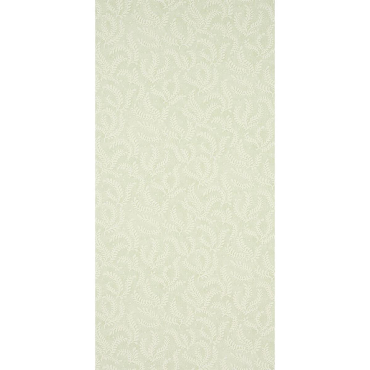 etched-fern-5010381-1