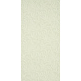 etched-fern-5010381-1