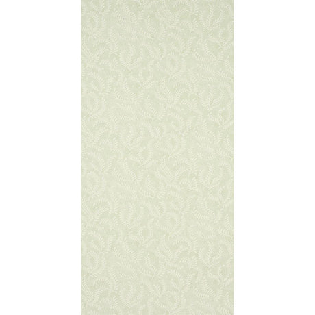 etched-fern-5010381-1