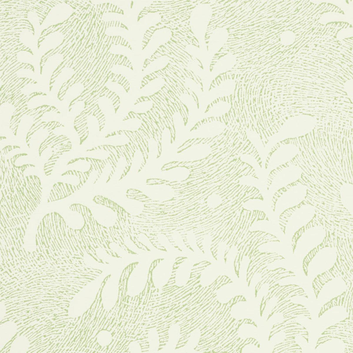 etched-fern-5010381-2