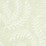 etched-fern-5010381-2