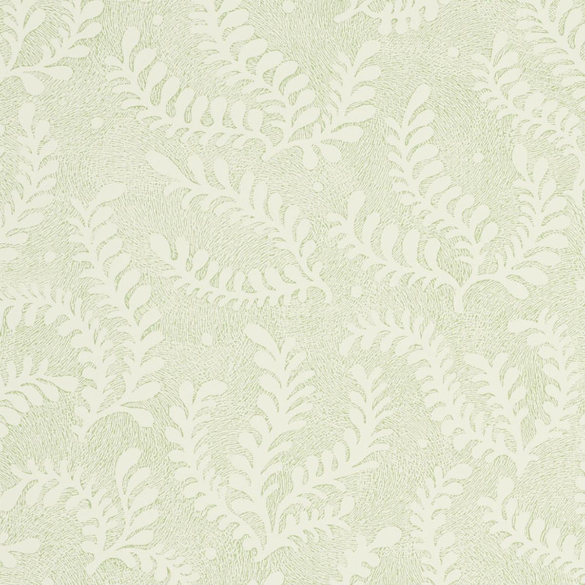 etched-fern-5010381
