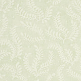 etched-fern-5010381