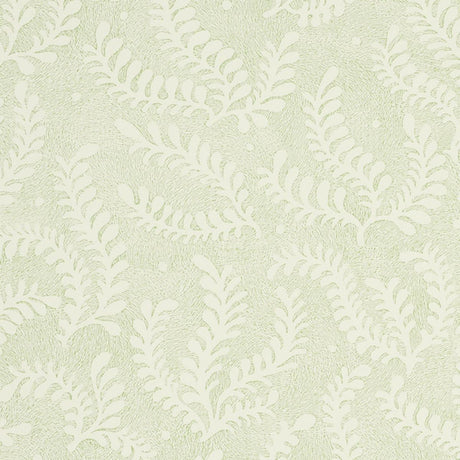 etched-fern-5010381