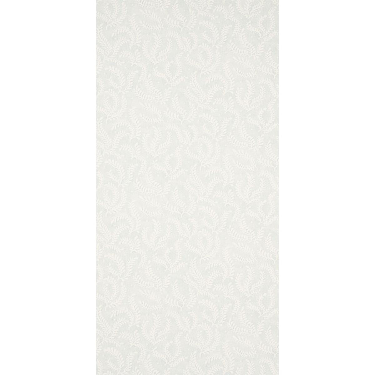 etched-fern-5010382-1
