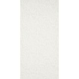 etched-fern-5010382-1