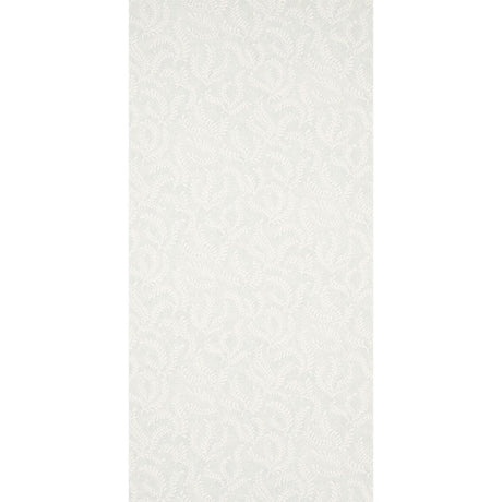 etched-fern-5010382-1