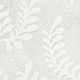 etched-fern-5010382-2