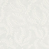 etched-fern-5010382