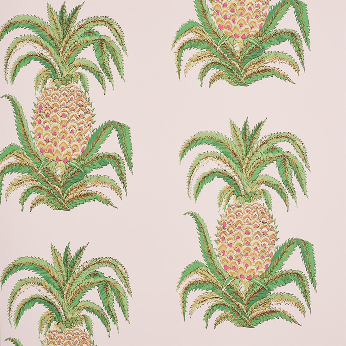 pineapples-5010451