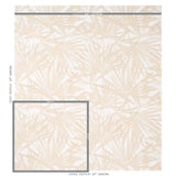 sunlit-palm-5010563-1