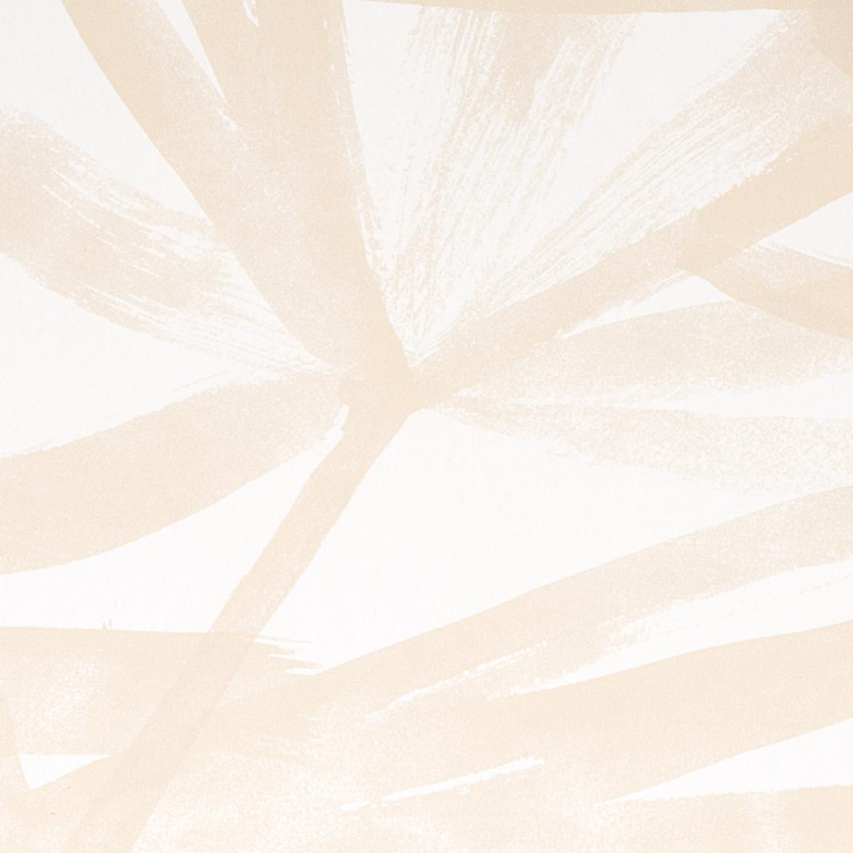 sunlit-palm-5010563-2