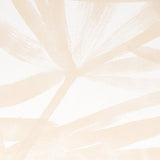 sunlit-palm-5010563-2