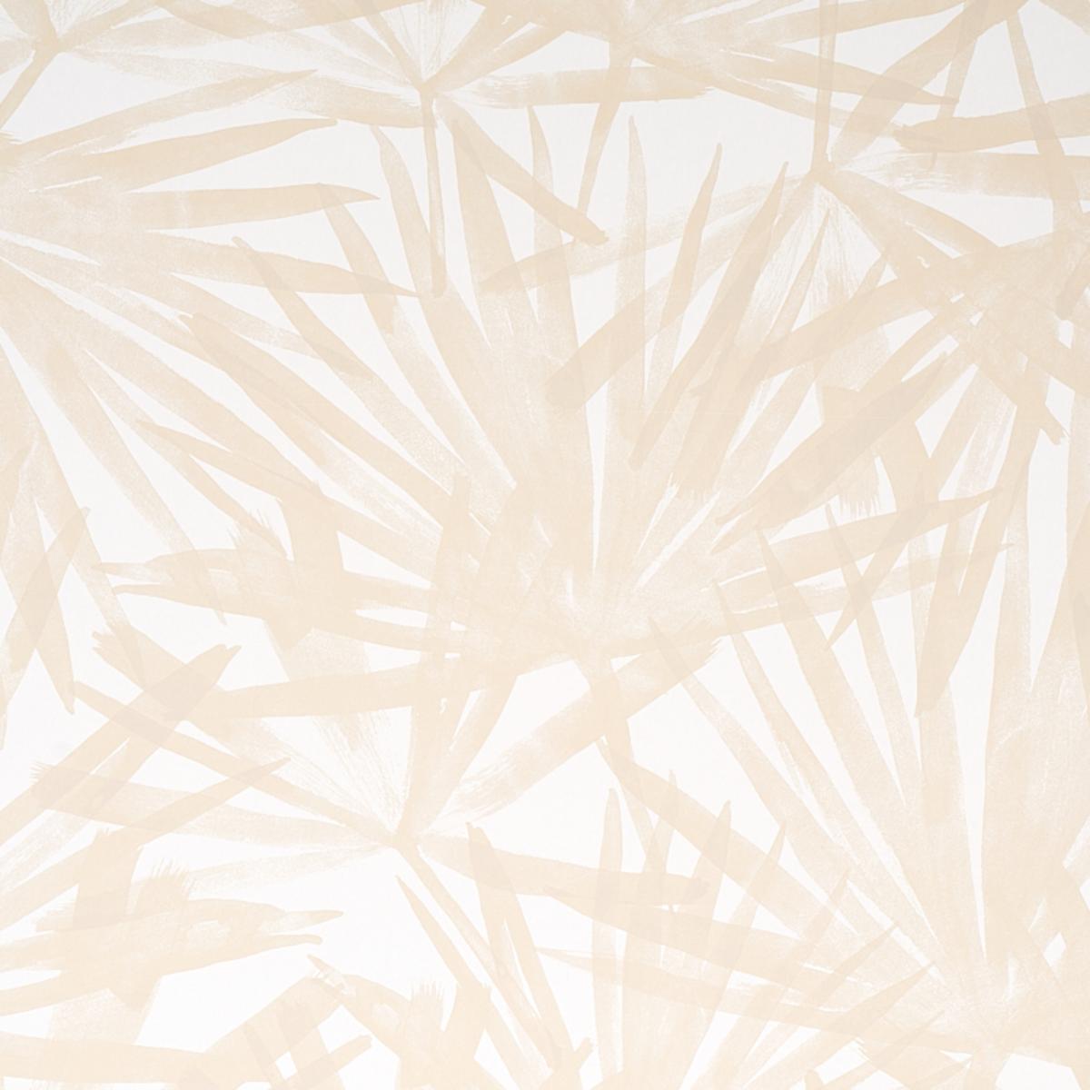 sunlit-palm-5010563