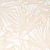 sunlit-palm-5010563