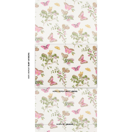 baudin-butterfly-5010690-1