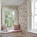 baudin-butterfly-5010690-4