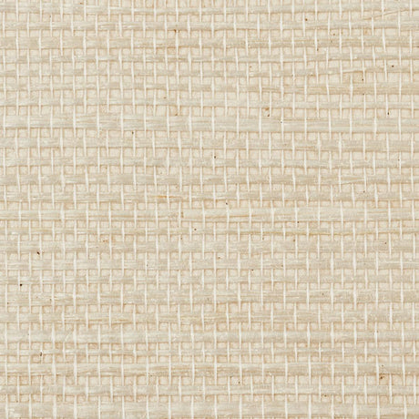 haruki-sisal-5010850-1
