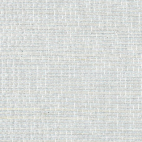 haruki-sisal-5010856-1