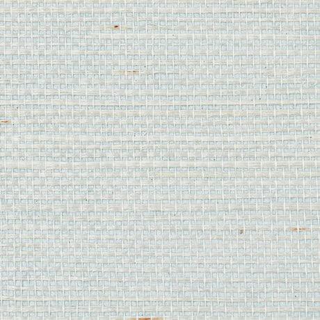 haruki-sisal-5010857-1