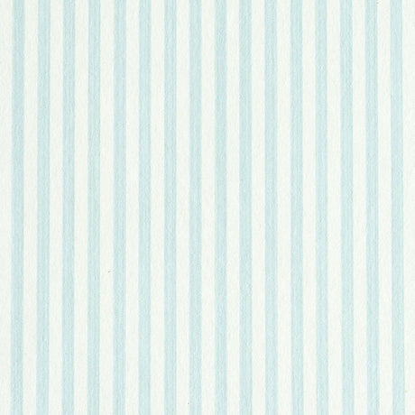 edwin-stripe-narrow-5011860