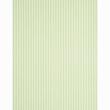 edwin-stripe-narrow-5011869-1