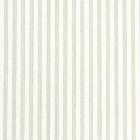 edwin-stripe-narrow-5011877