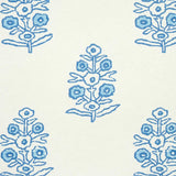 aditi-5011930-3