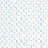 beatriz-5011943