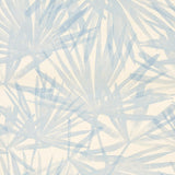 sunlit-palm-sisal-5012040