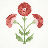 saranda-flower-5012410-2